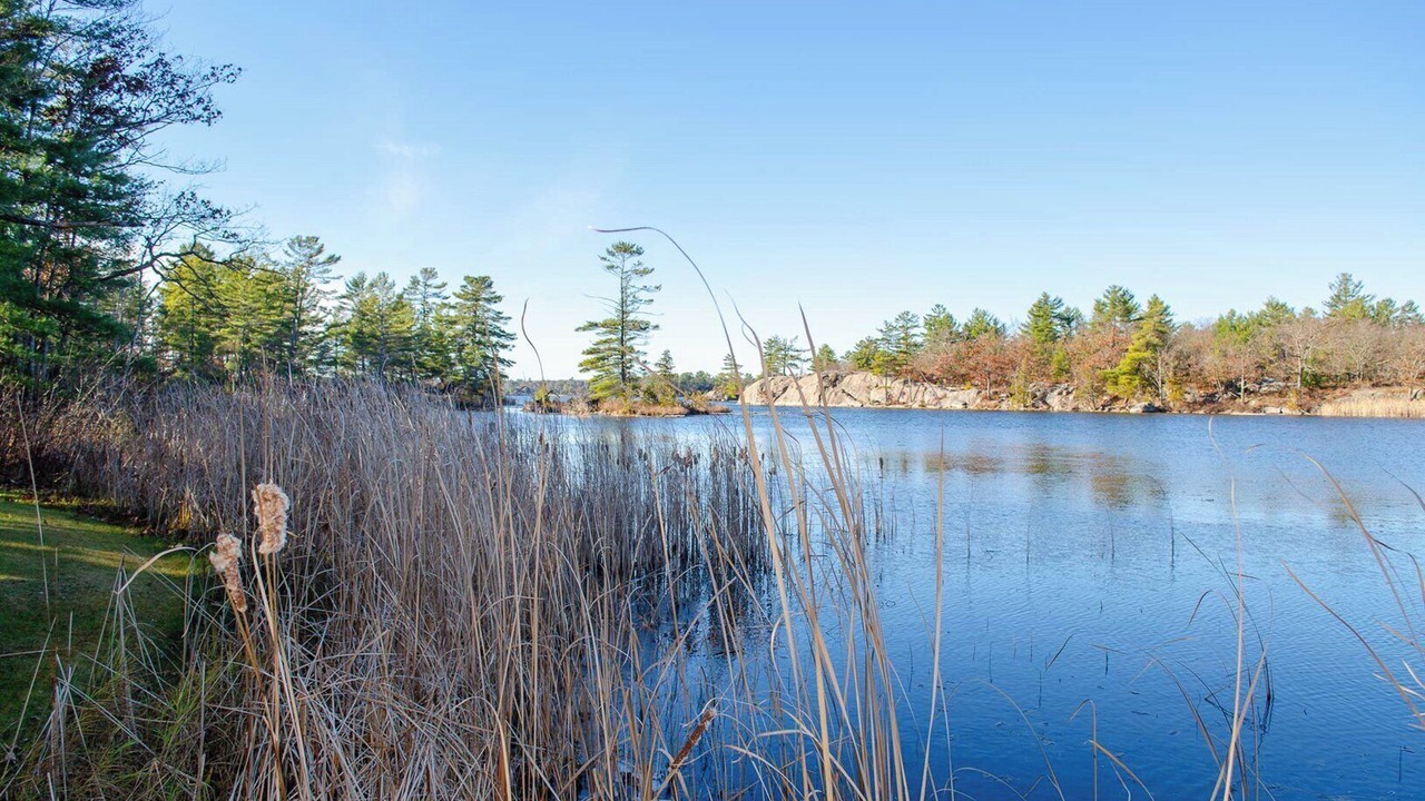 Photo of Others in Trent Lakes