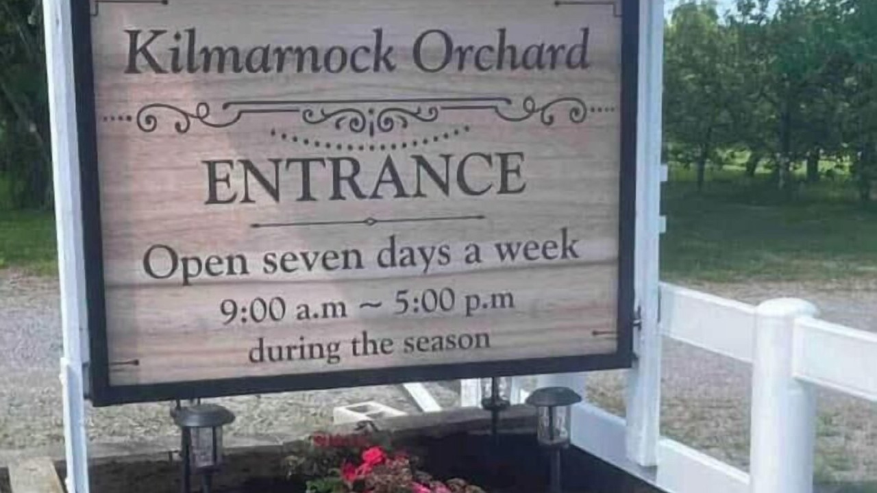 Photo of Others in Merrickville-Wolford