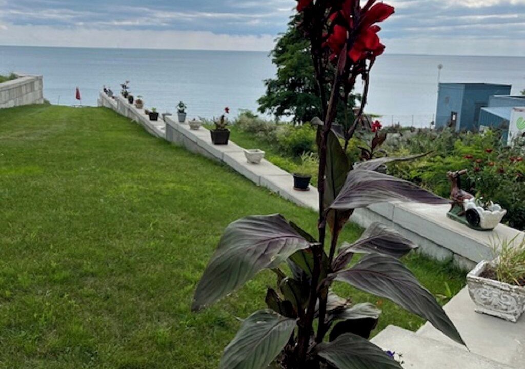 Photo of Others in Port Dover