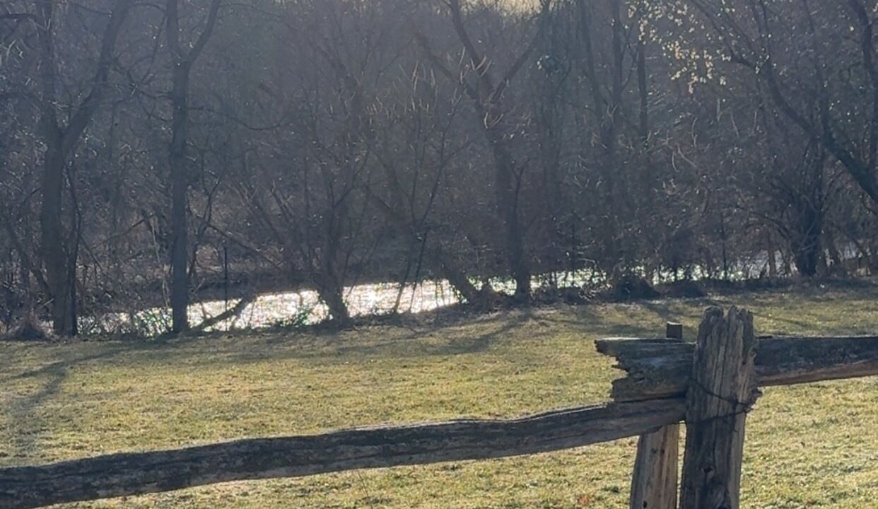 Photo of Others in Georgetown