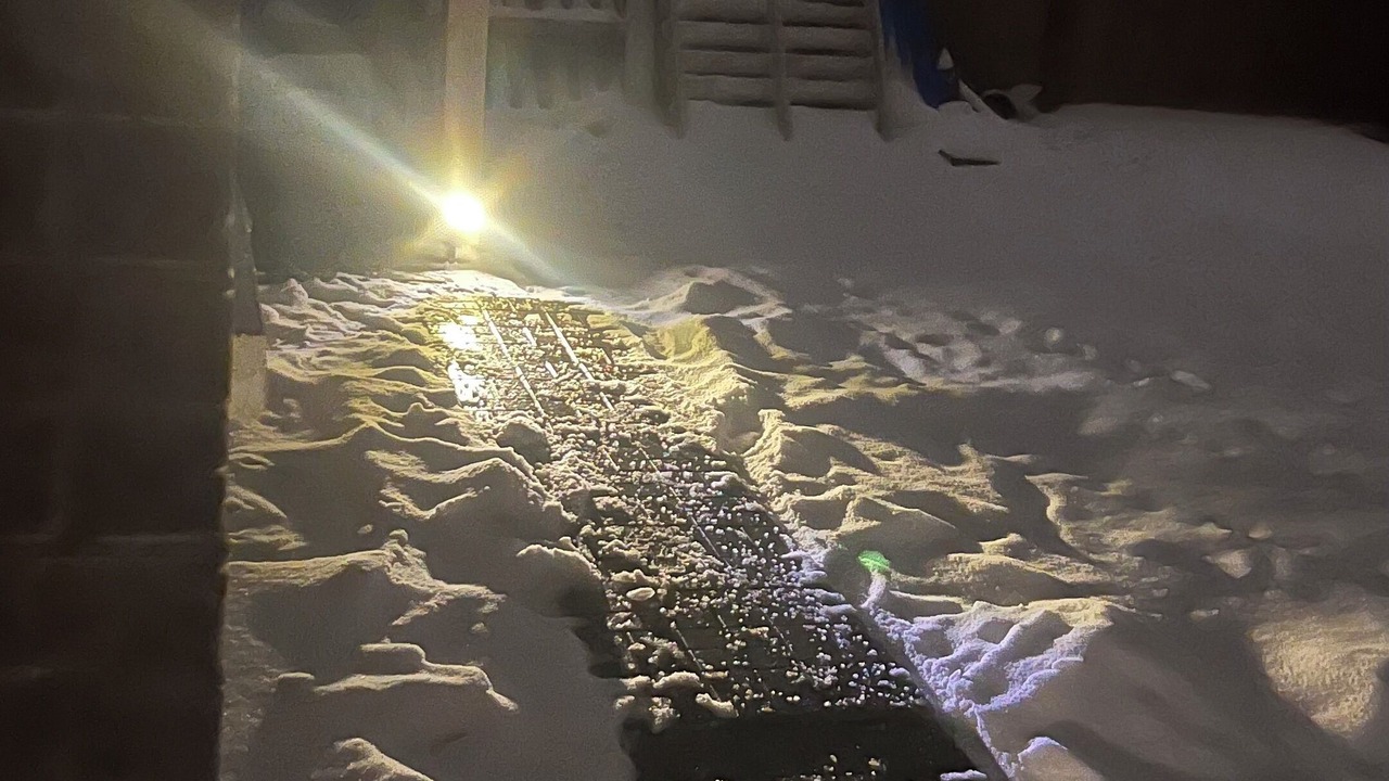 Photo of Others in East Gwillimbury