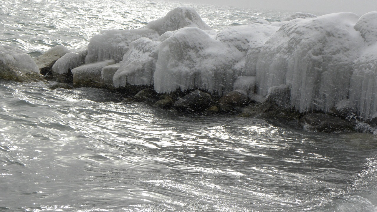 Photo of Others in Meaford