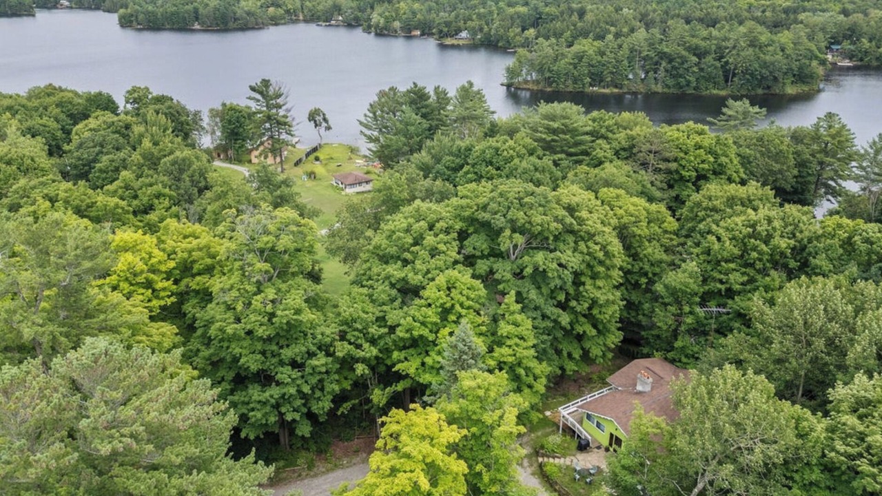 Photo of Outdoor in Coboconk