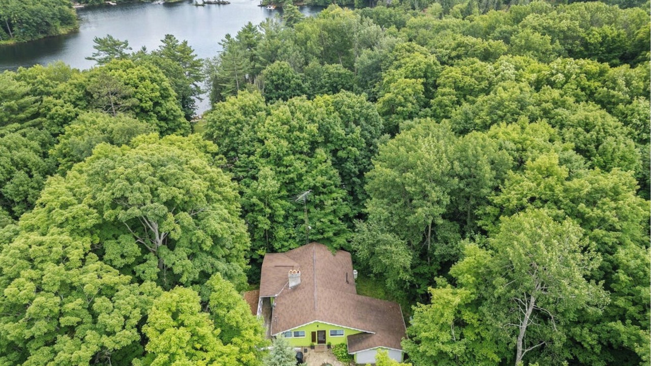Photo of Outdoor in Coboconk