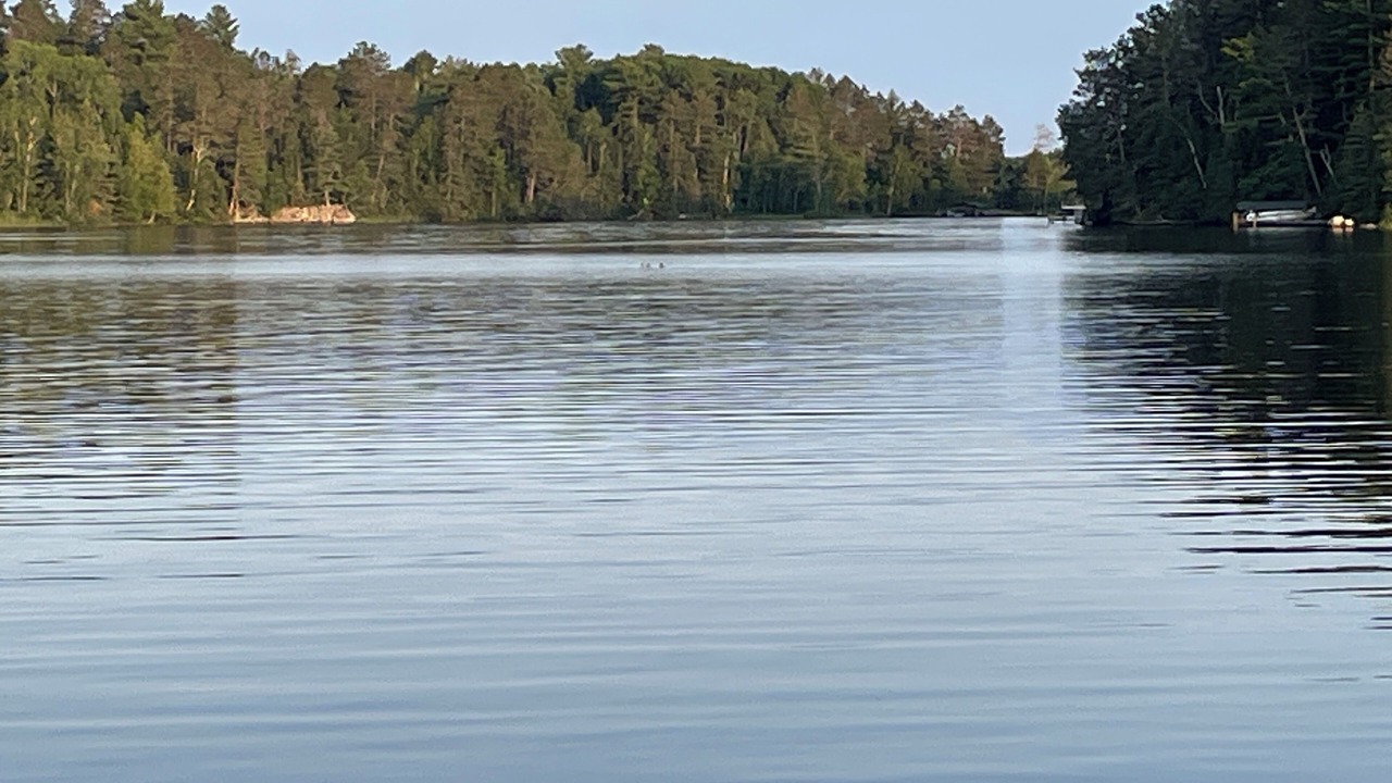 Photo of Outdoor in Cook