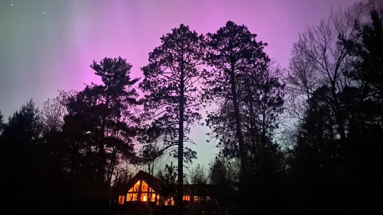Photo of Outdoor in Cook