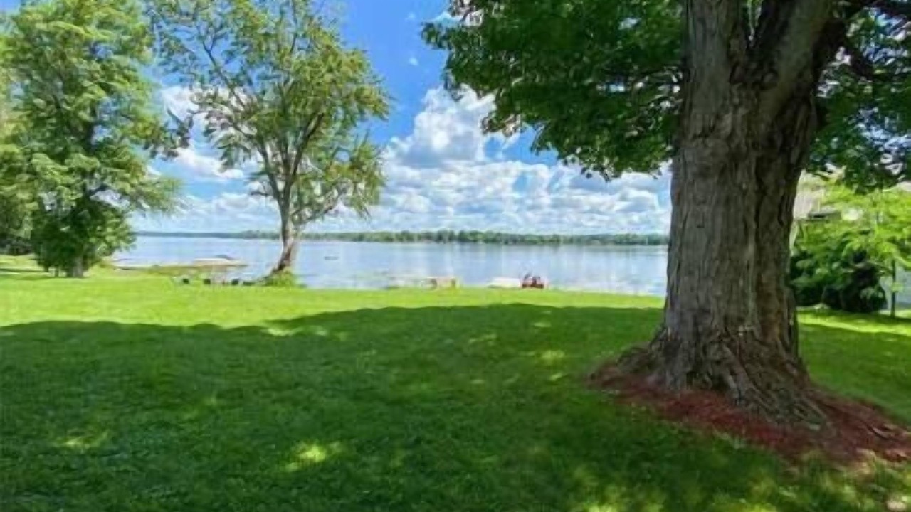 Photo of Outdoor in Port Stanton