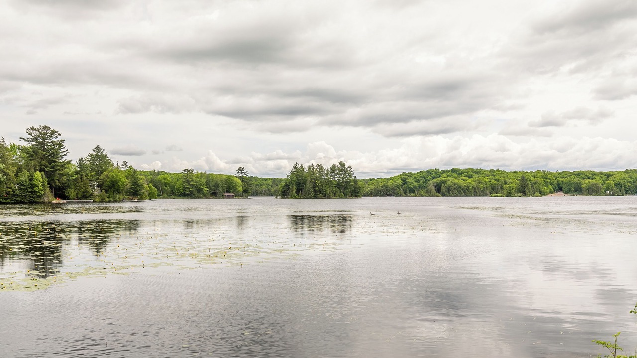Photo of Others in Trent Lakes
