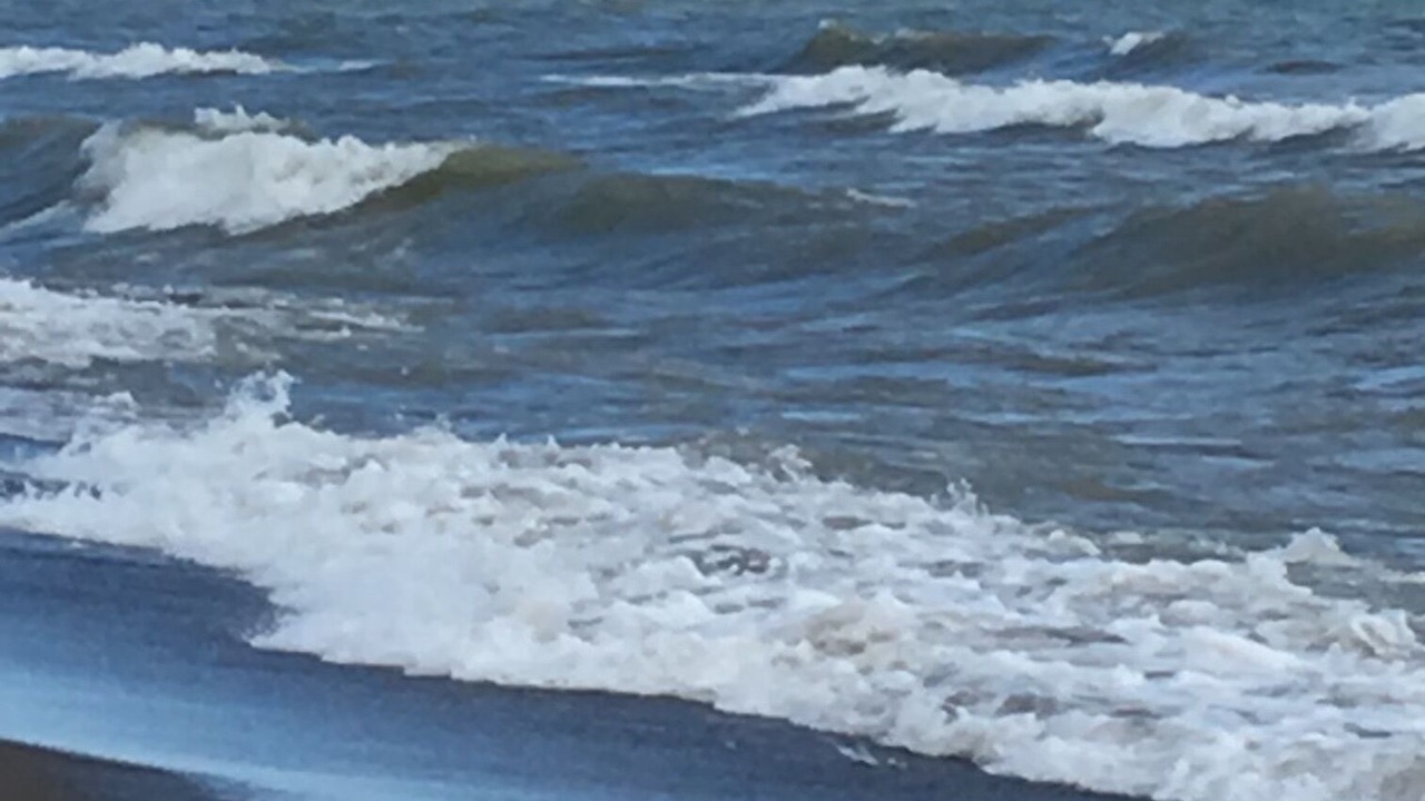 Photo of Others in Harwich
