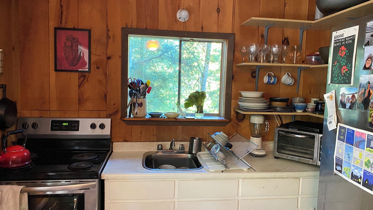 Photo of Kitchen in Actinolite