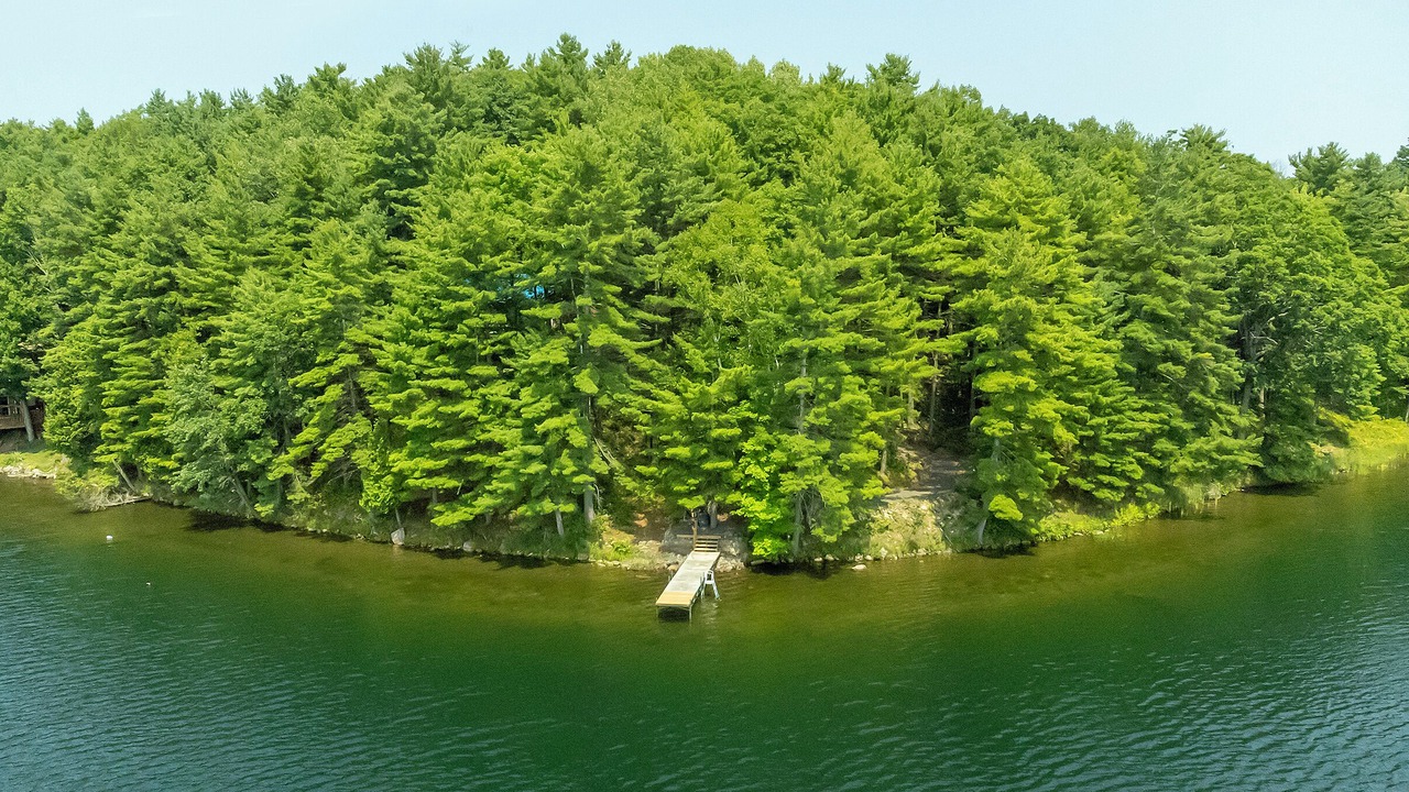 Photo of Others in Frontenac