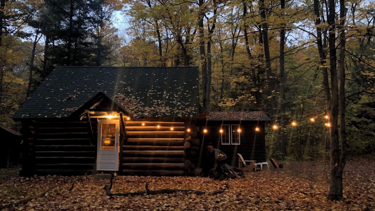 Photo of Outdoor in Baysville