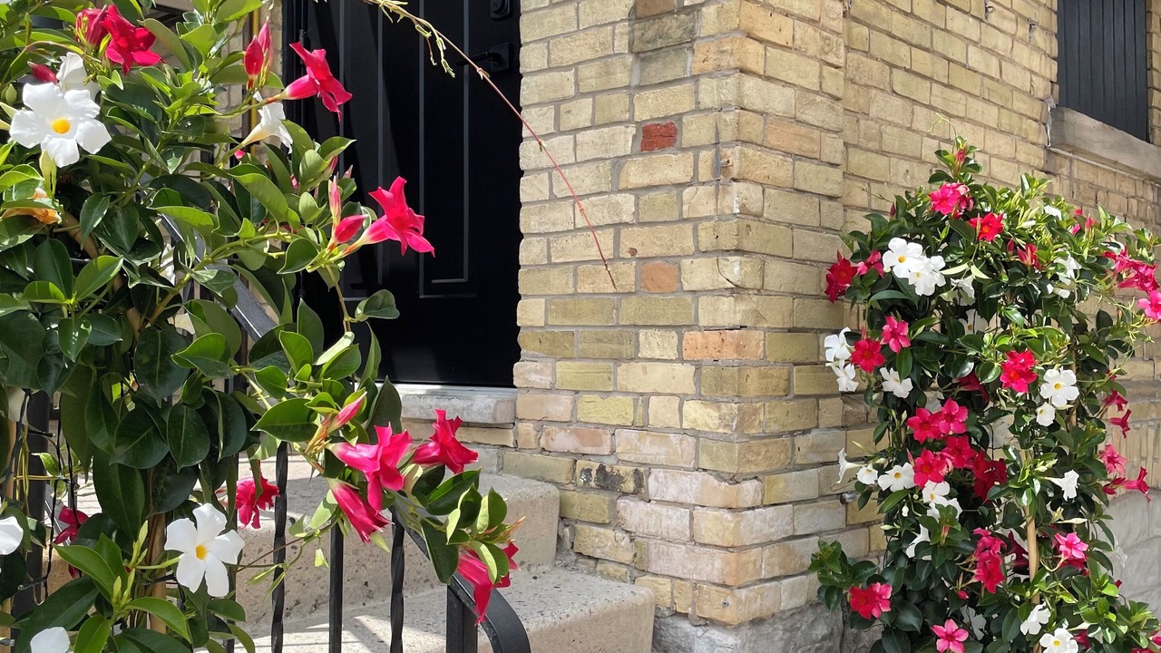 Photo of Outdoor in Stratford