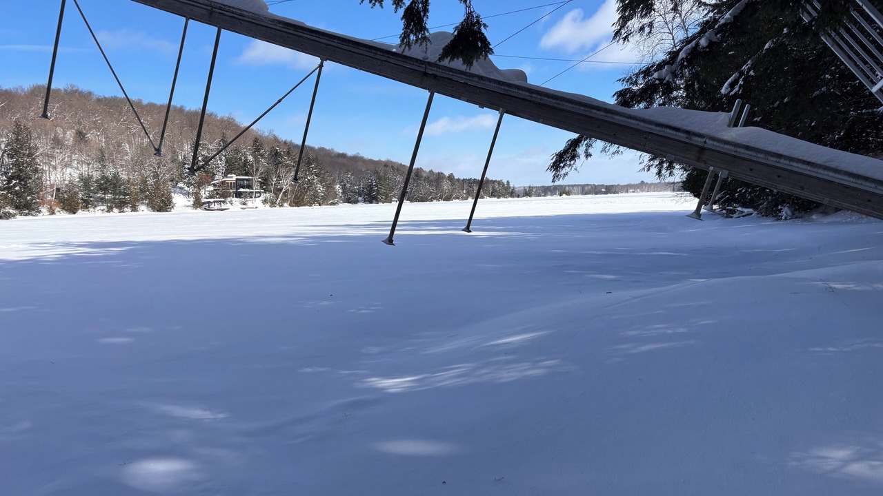 Photo of Outdoor in Algonquin Highlands