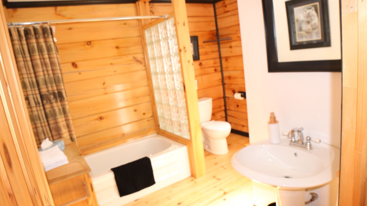 Photo of Bathroom in Algonquin Highlands