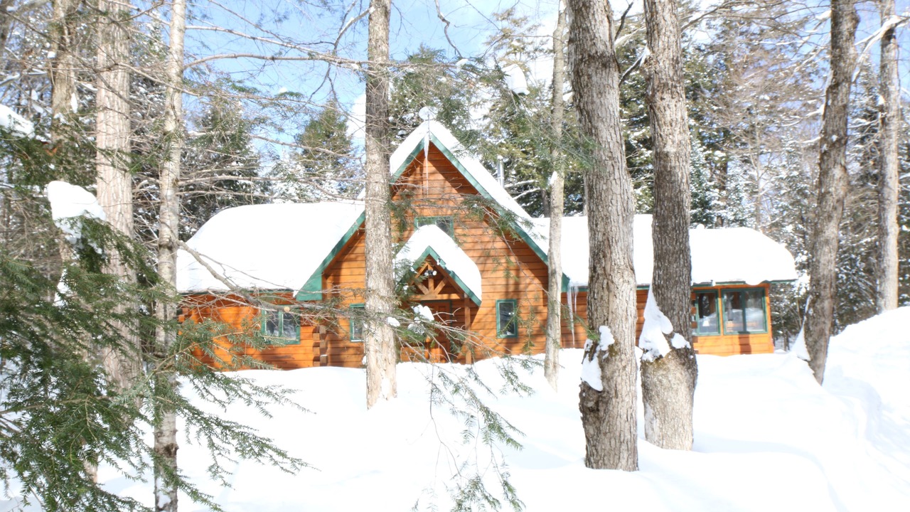 Photo of Others in Algonquin Highlands