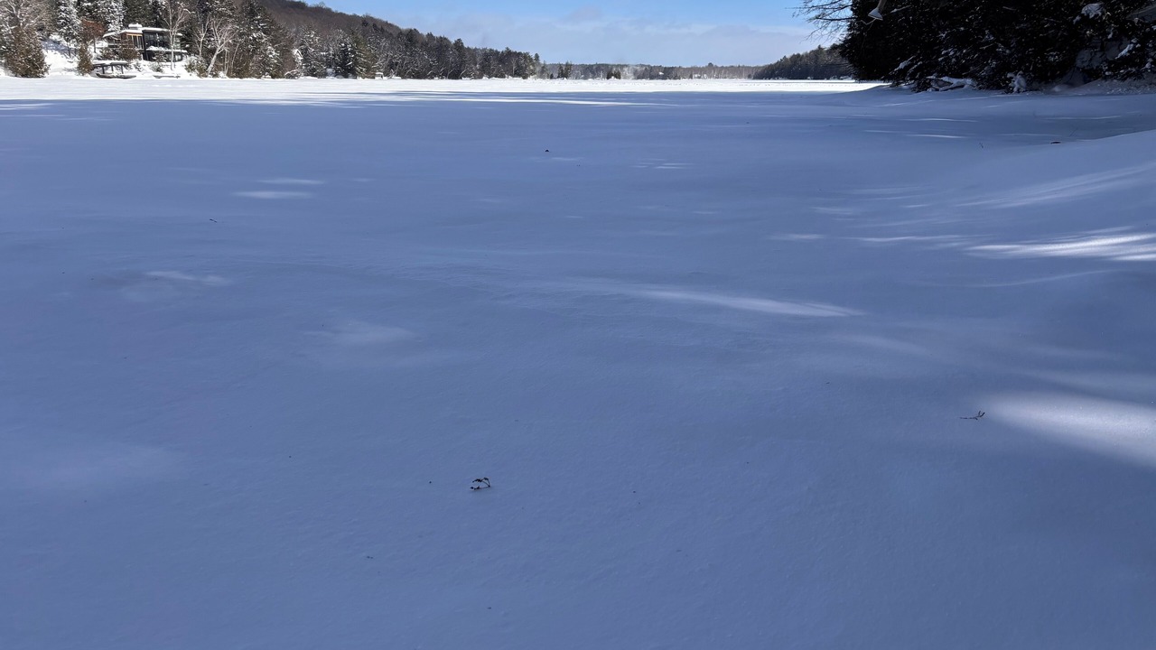 Photo of Outdoor in Algonquin Highlands