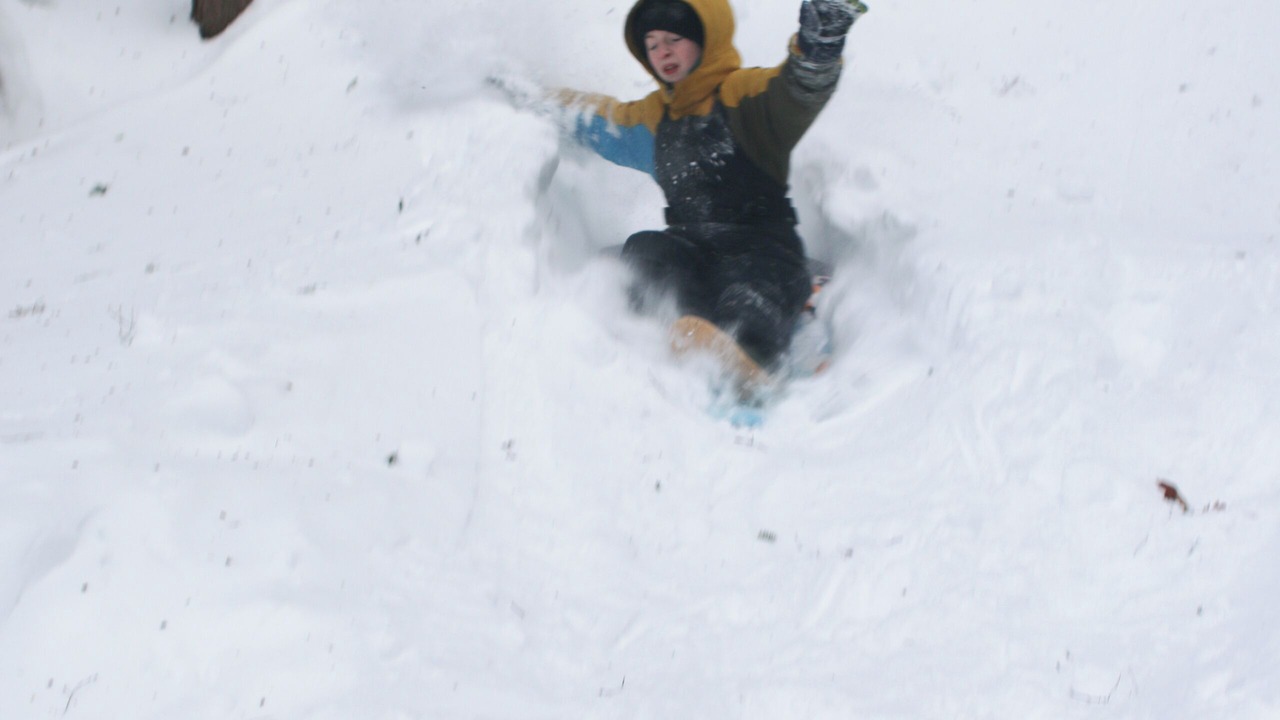 Photo of Others in Algonquin Highlands