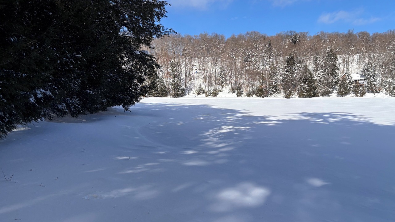 Photo of Outdoor in Algonquin Highlands