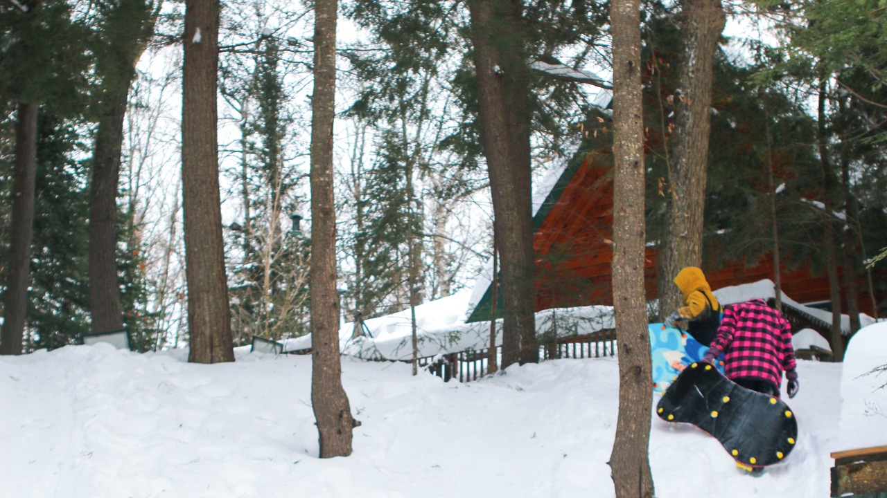 Photo of Outdoor in Algonquin Highlands
