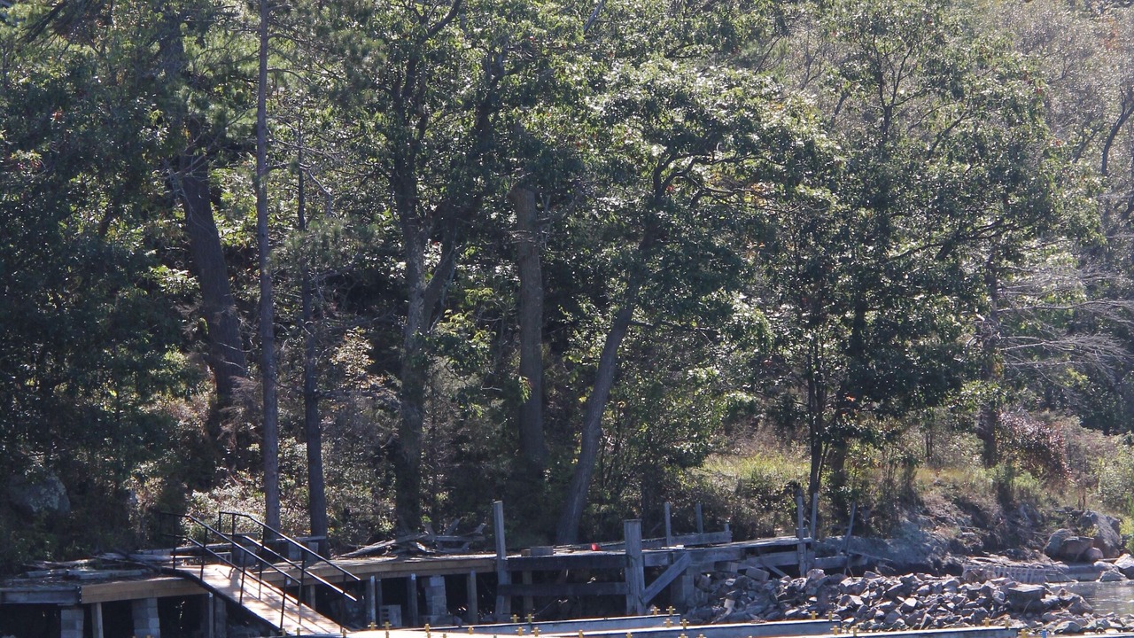 Photo of Others in Lansdowne