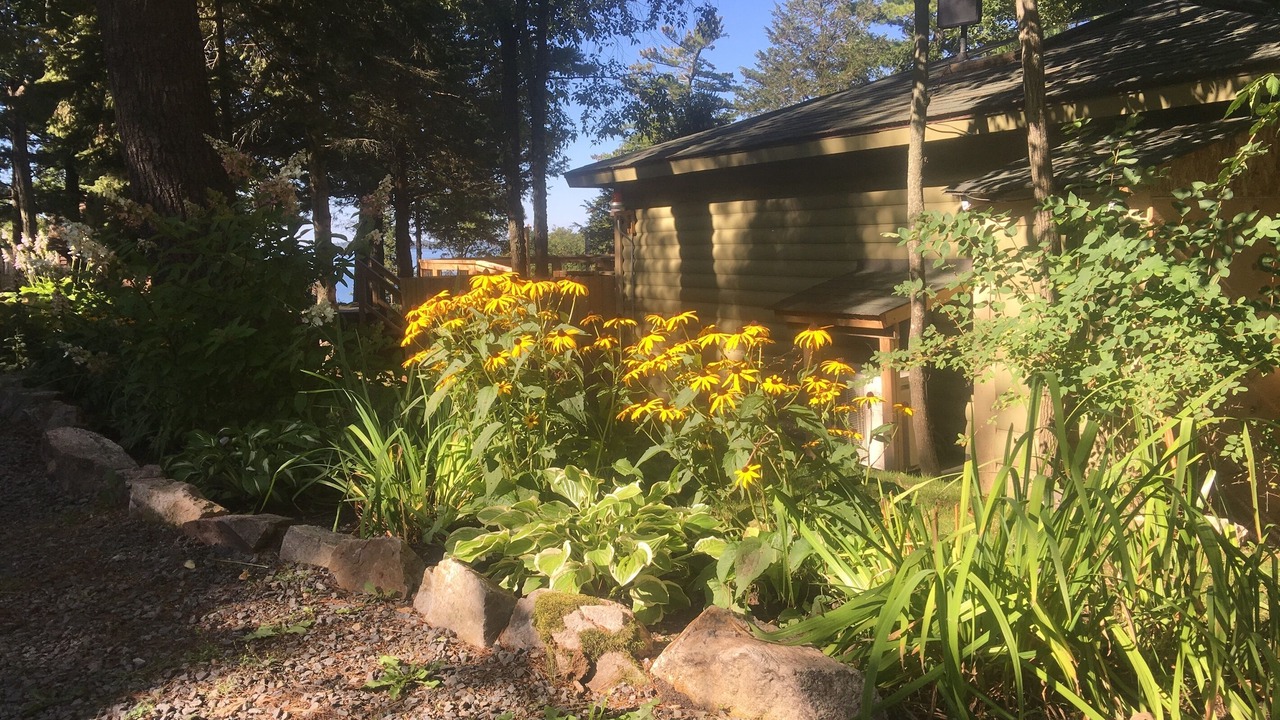 Photo of Outdoor in Lansdowne