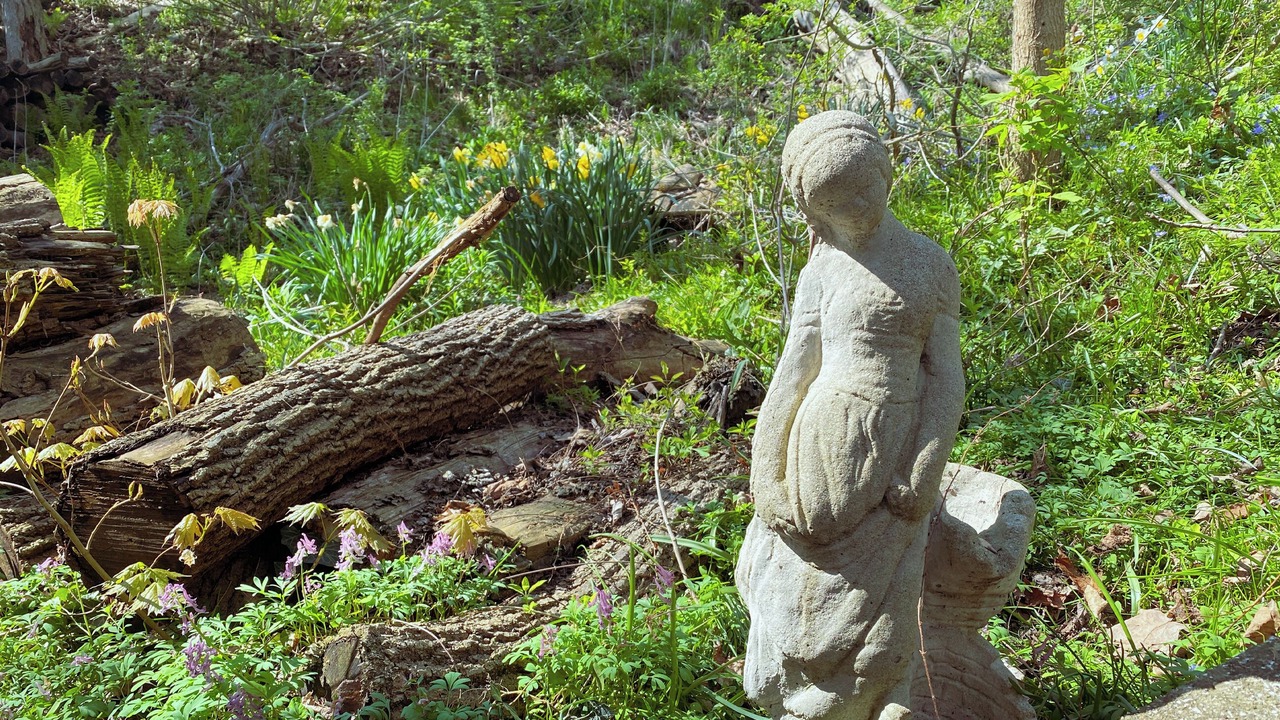 Photo of Others in Port Stanley