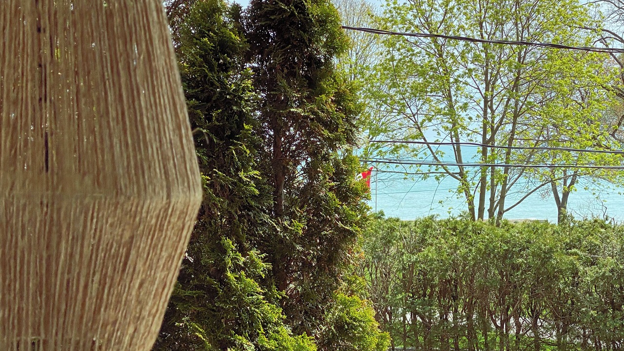 Photo of Outdoor in Port Stanley