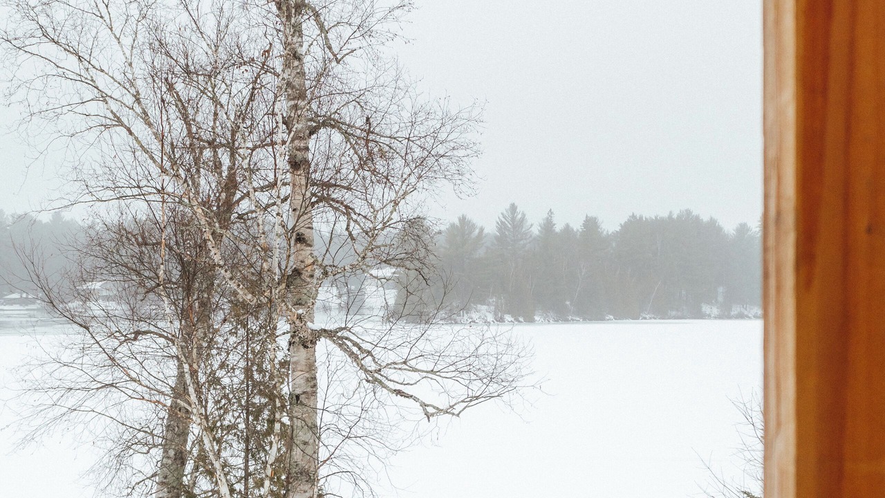 Photo of Others in Scotia