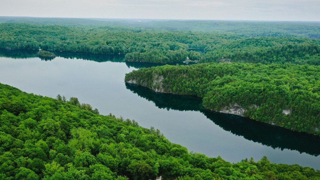 Photo of Others in Frontenac