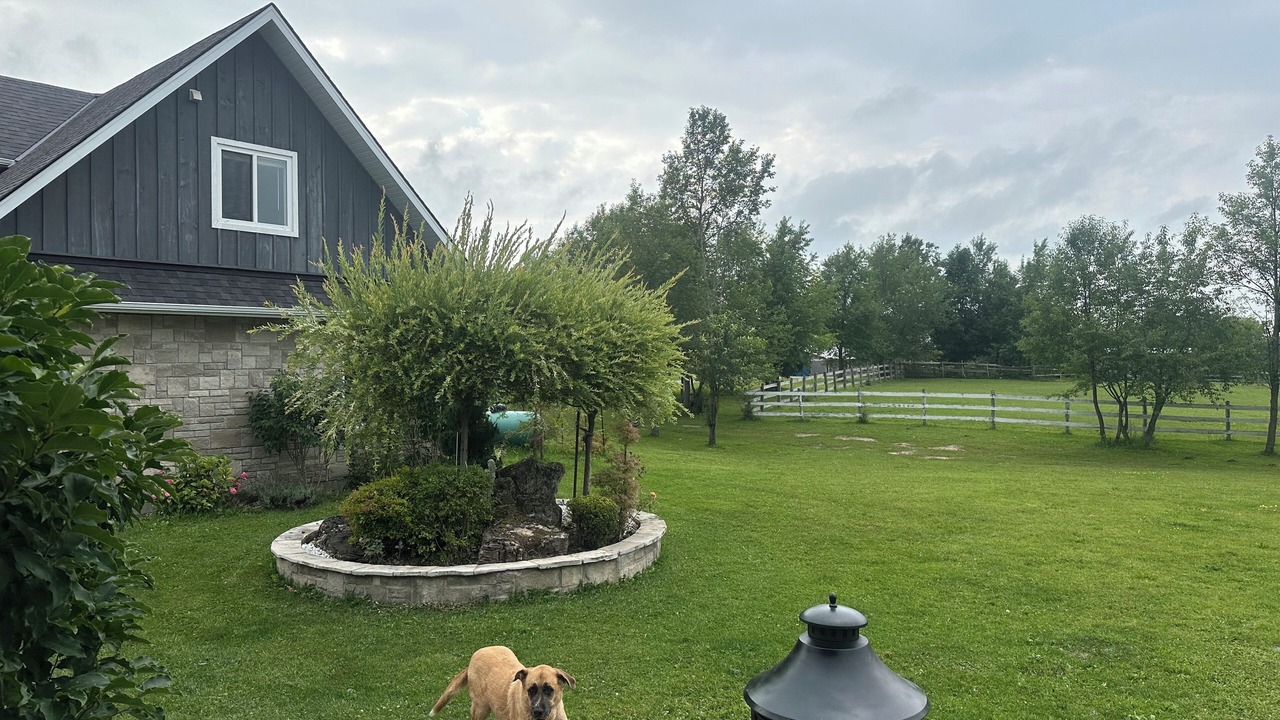 Photo of Outdoor in Grey Highlands