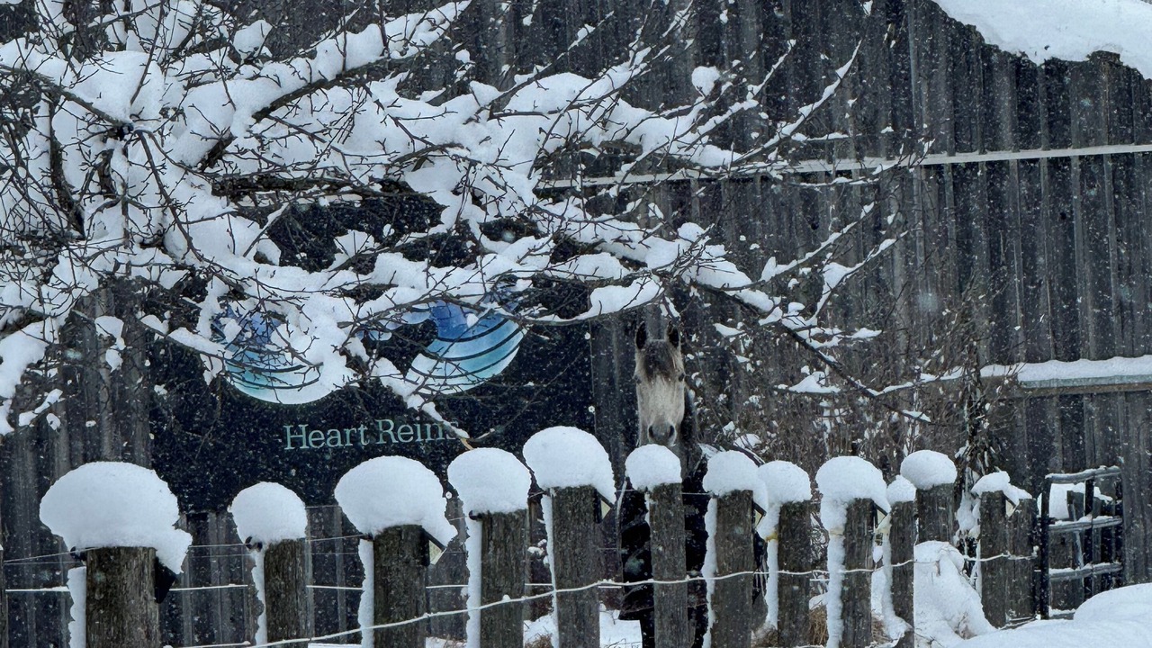 Photo of Outdoor in Grey Highlands