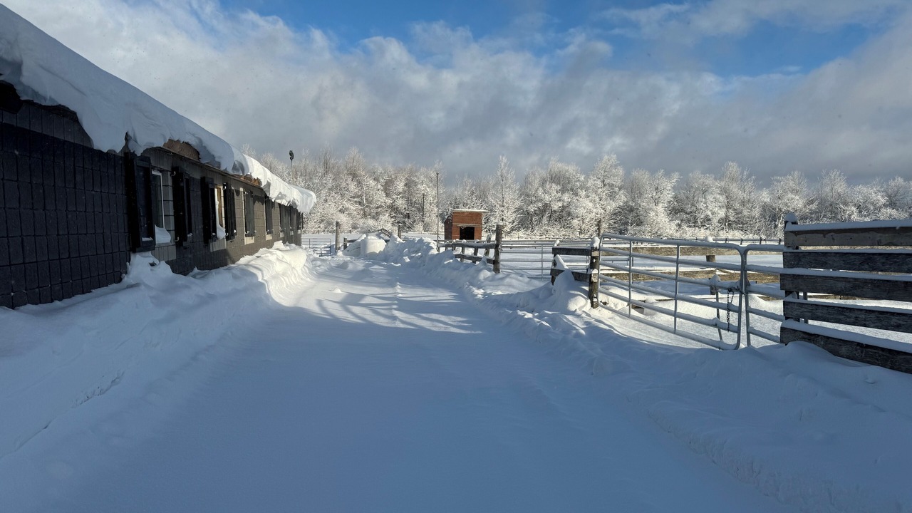 Photo of Outdoor in Grey Highlands