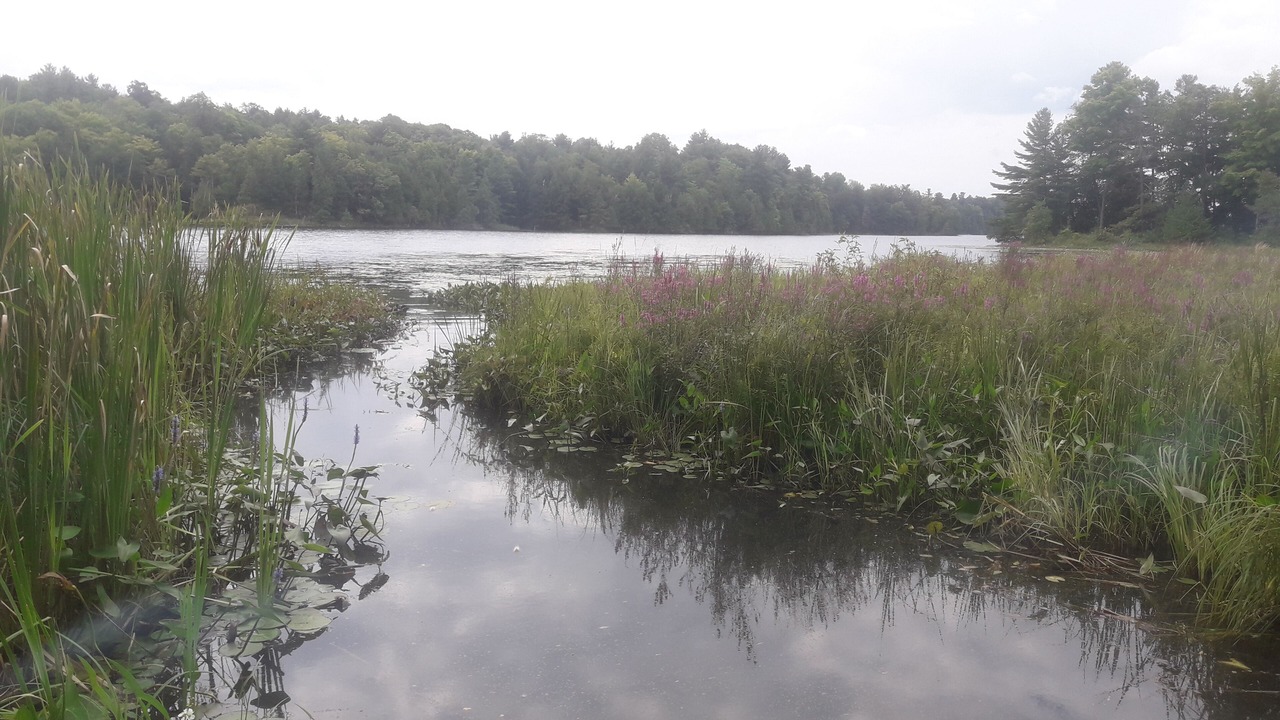 Photo of Others in Leeds and the Thousand Islands