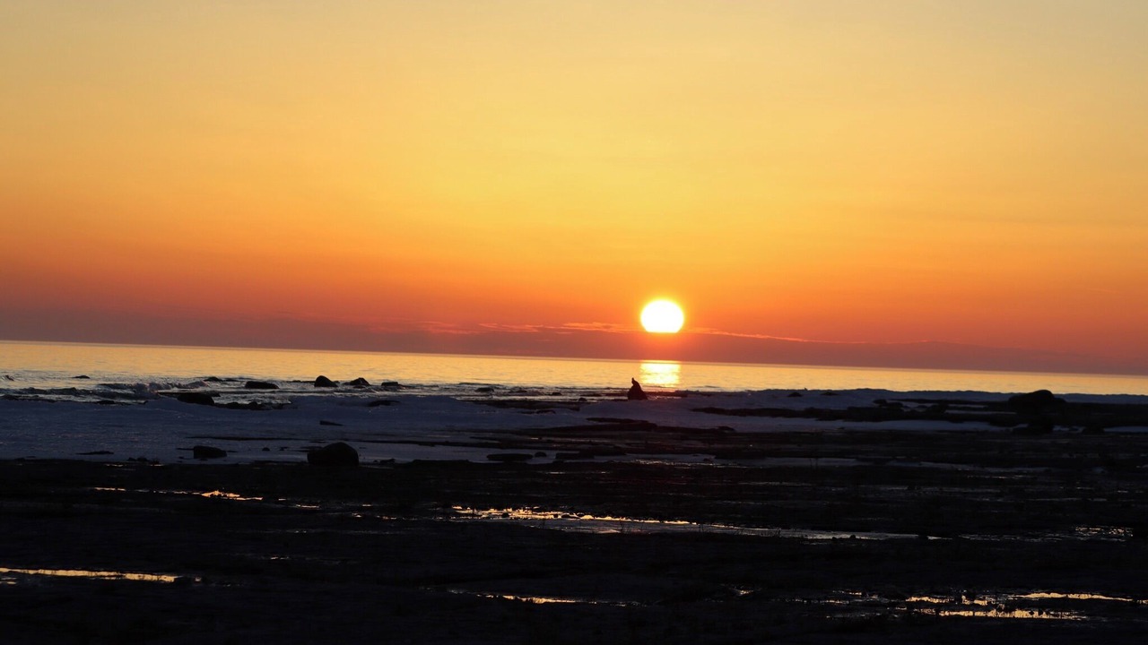 Photo of Others in Manitoulin District