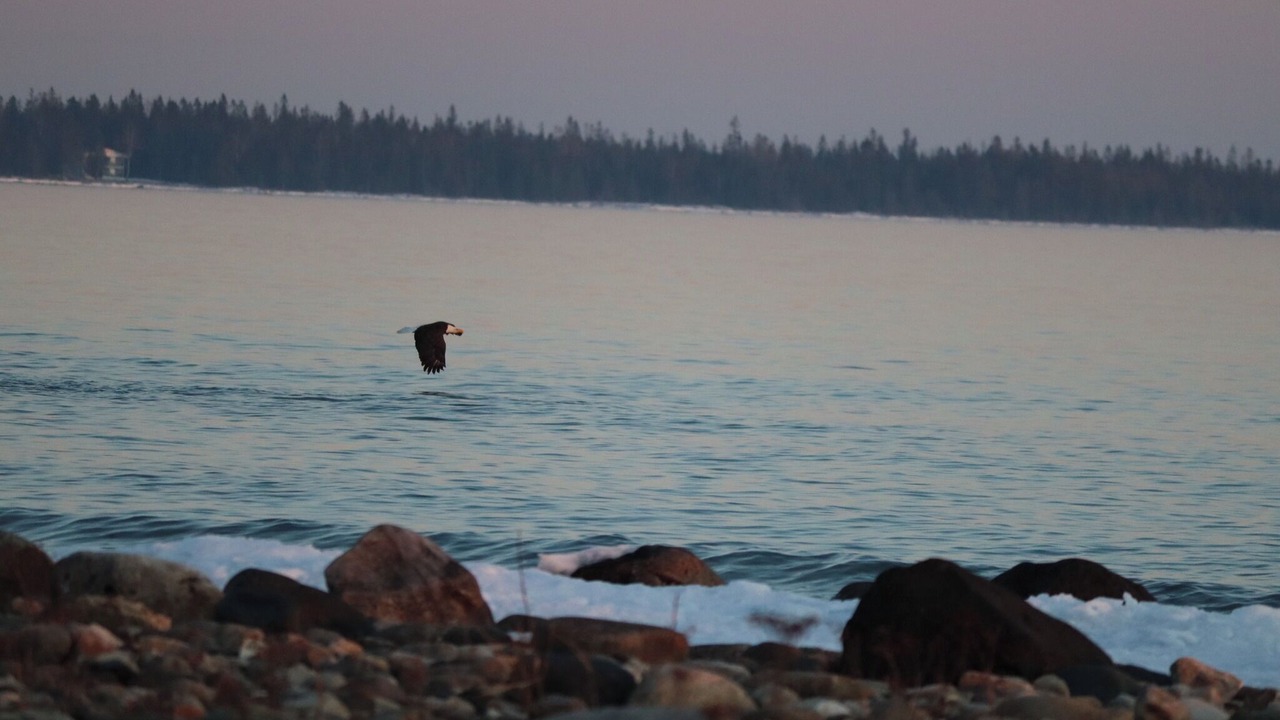 Photo of Others in Manitoulin District