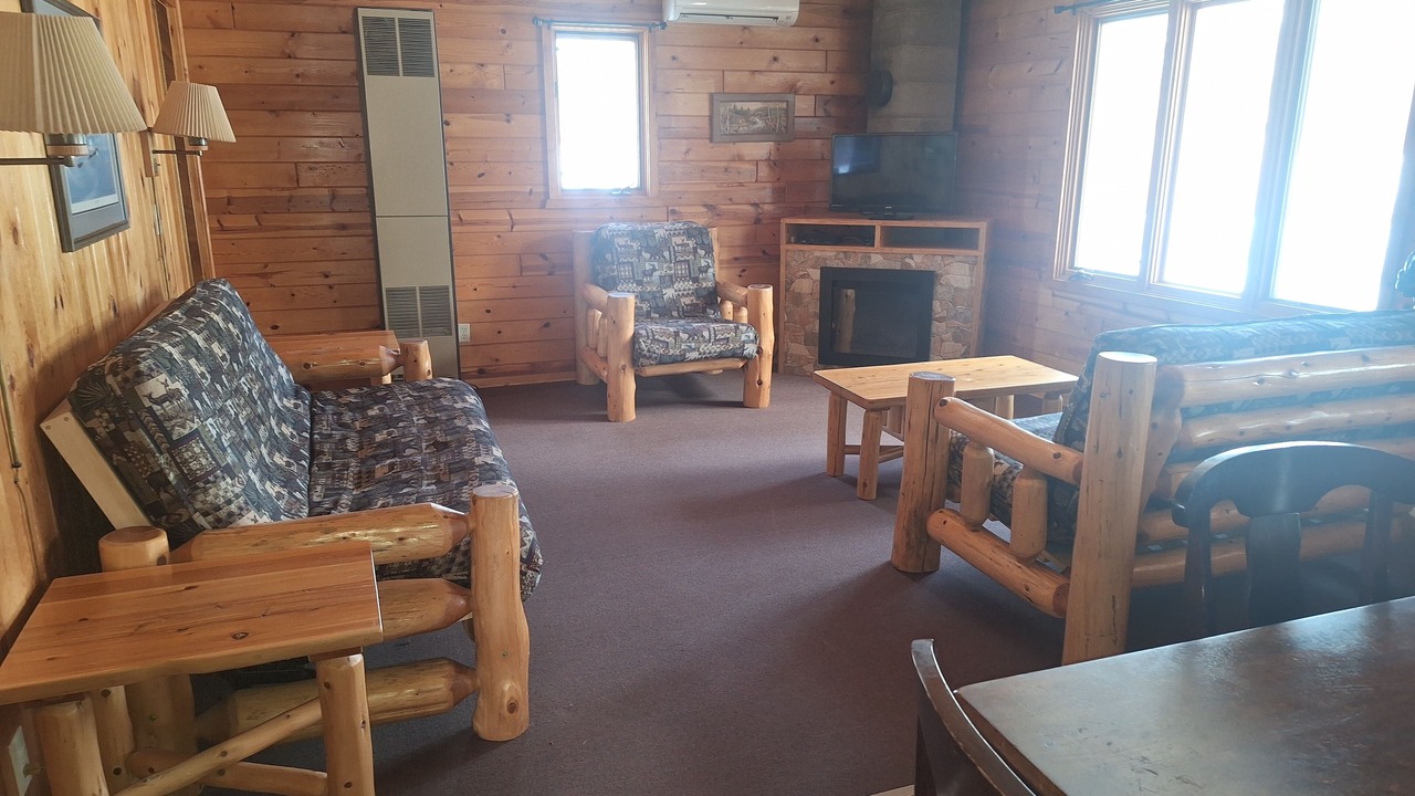 Photo of Livingroom in Park Rapids