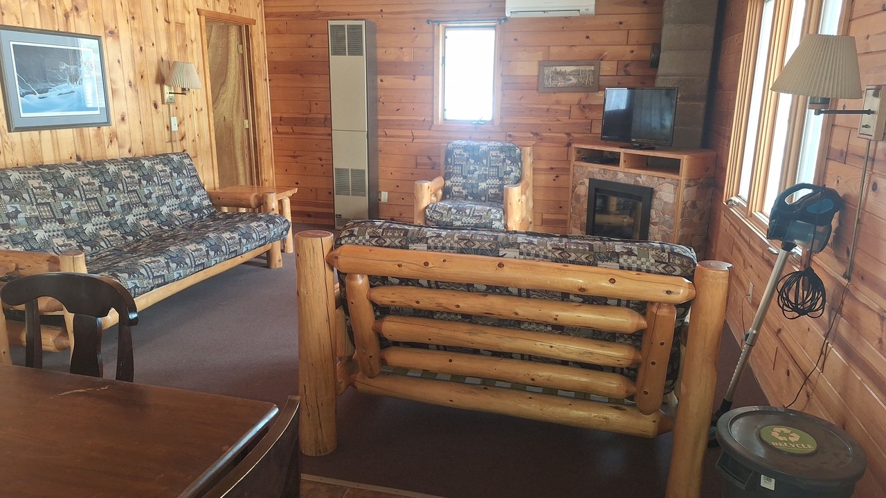 Photo of Livingroom in Park Rapids