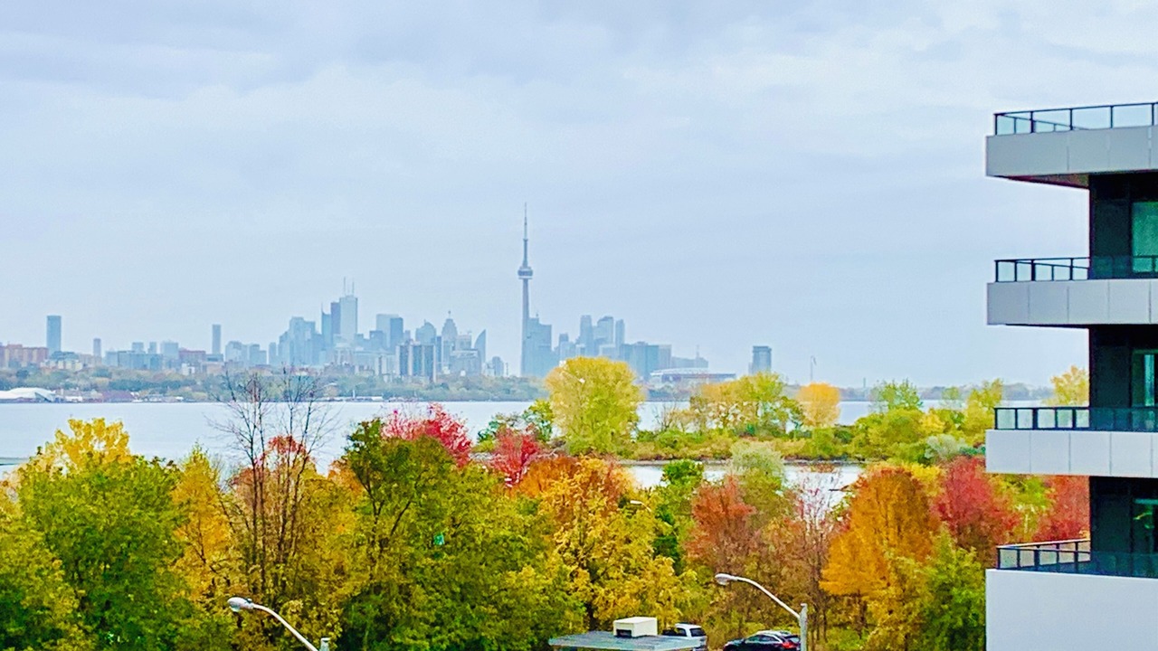 Photo of Others in Humber Bay Shores