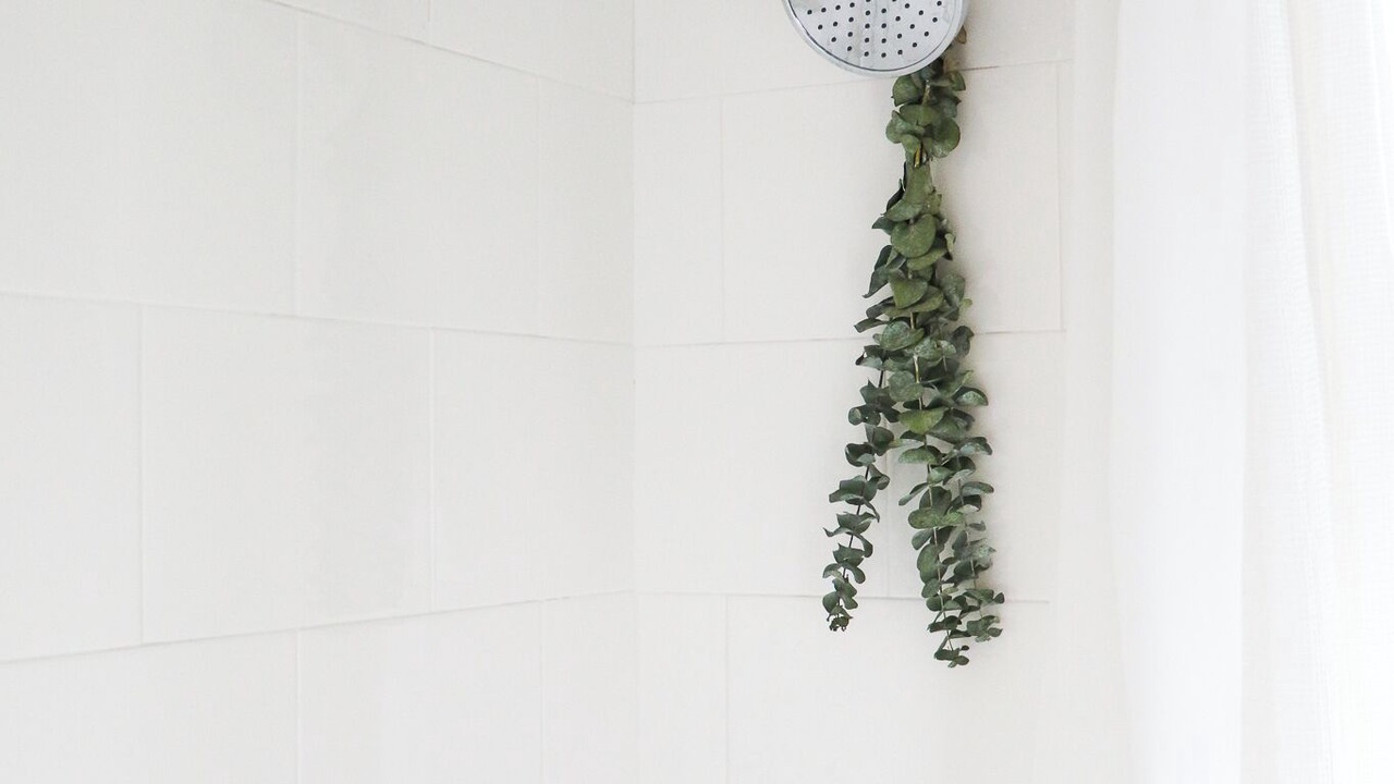 Photo of Bathroom in Brantford