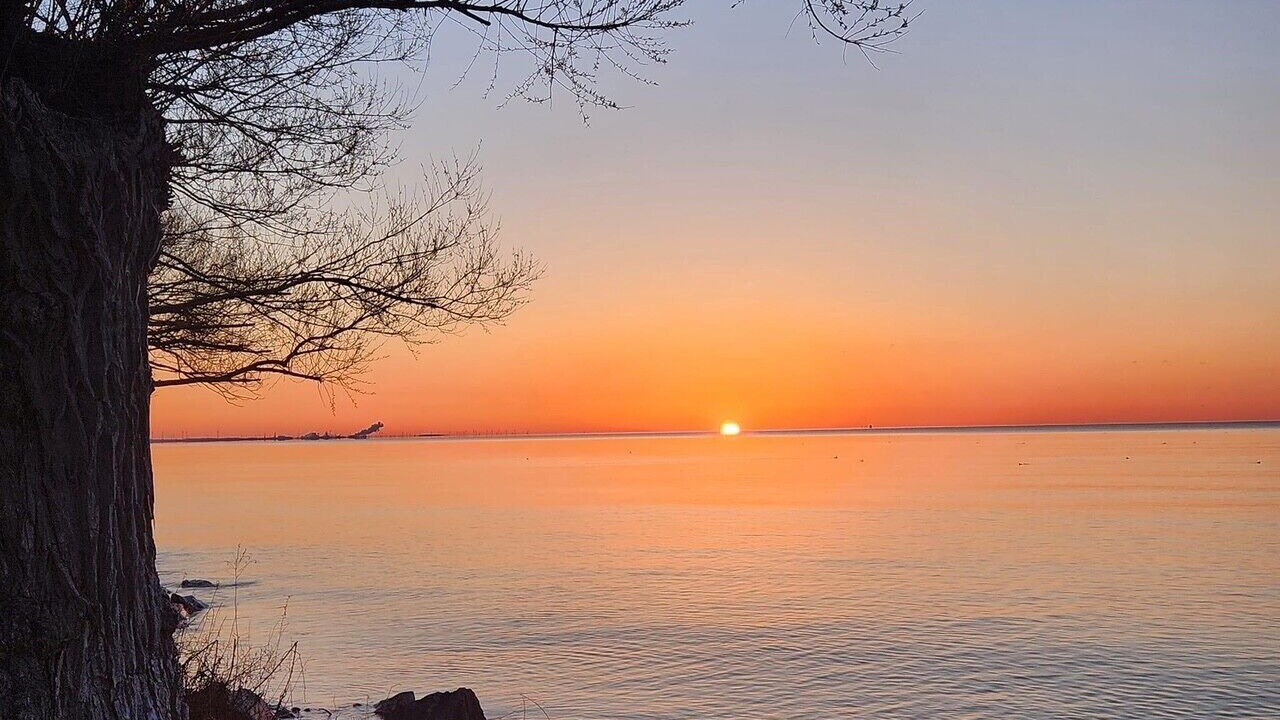Photo of Others in Turkey Point