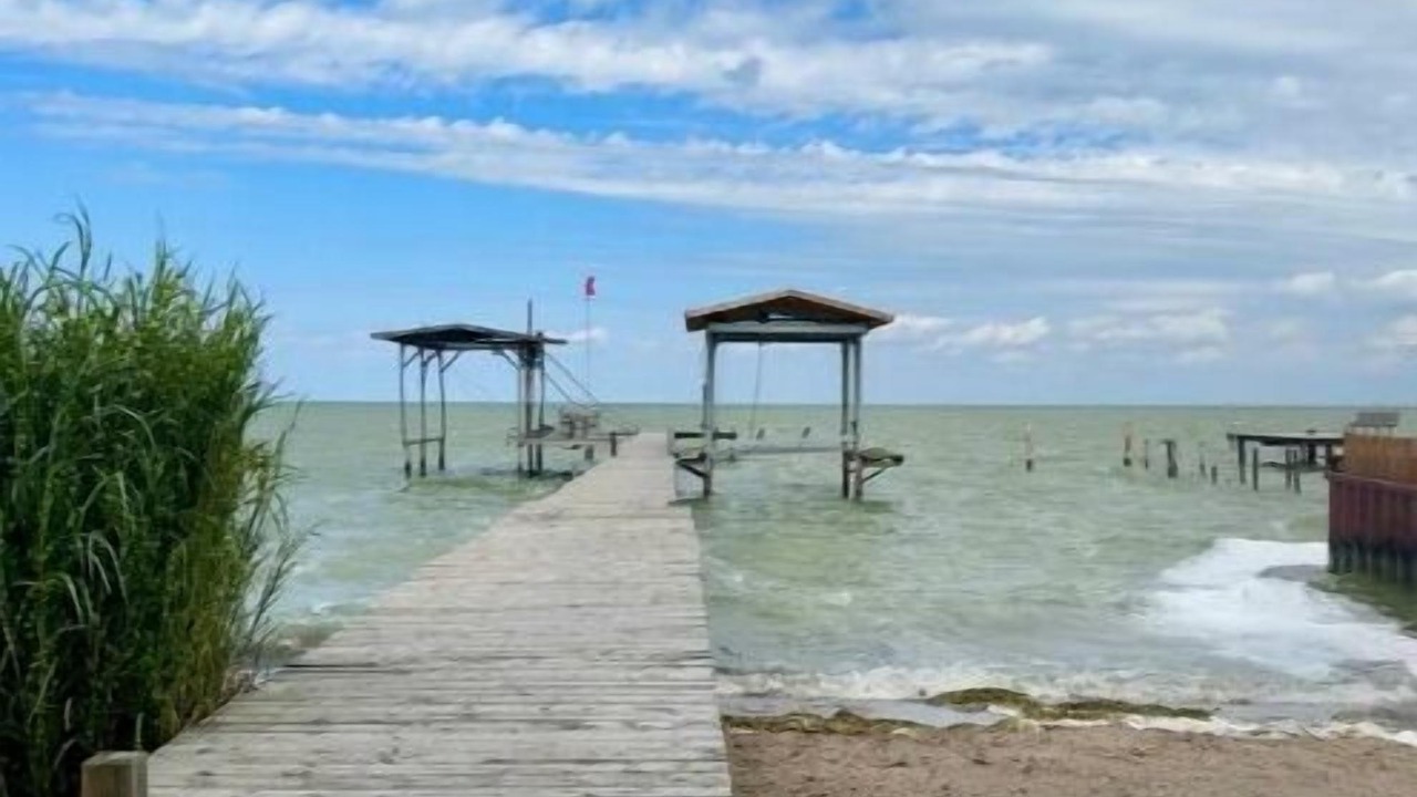 Photo of Others in Lakeshore