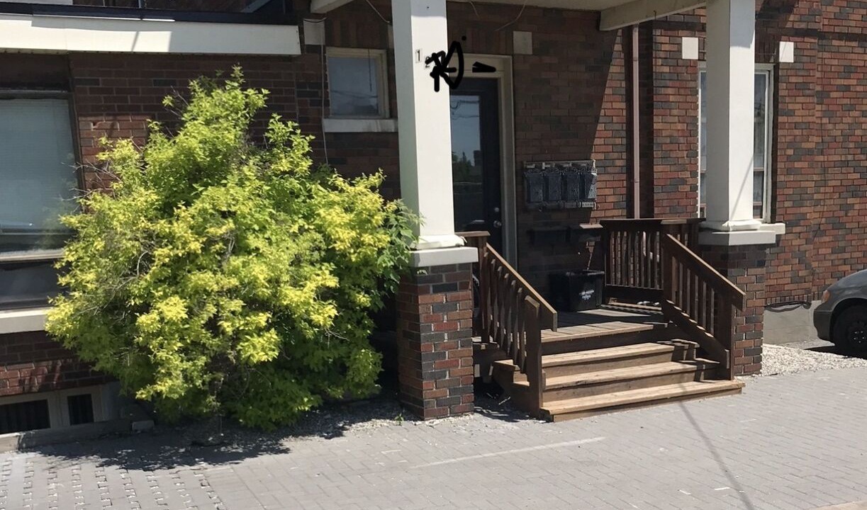 Photo of Outdoor in Glebe