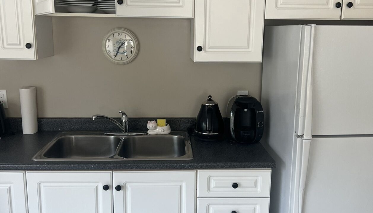 Photo of Kitchen in Glebe