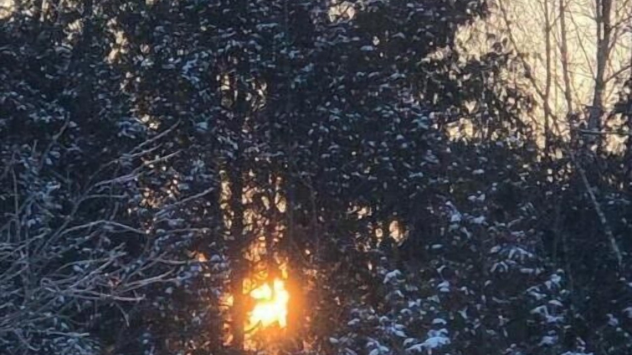 Photo of Others in Central Huron
