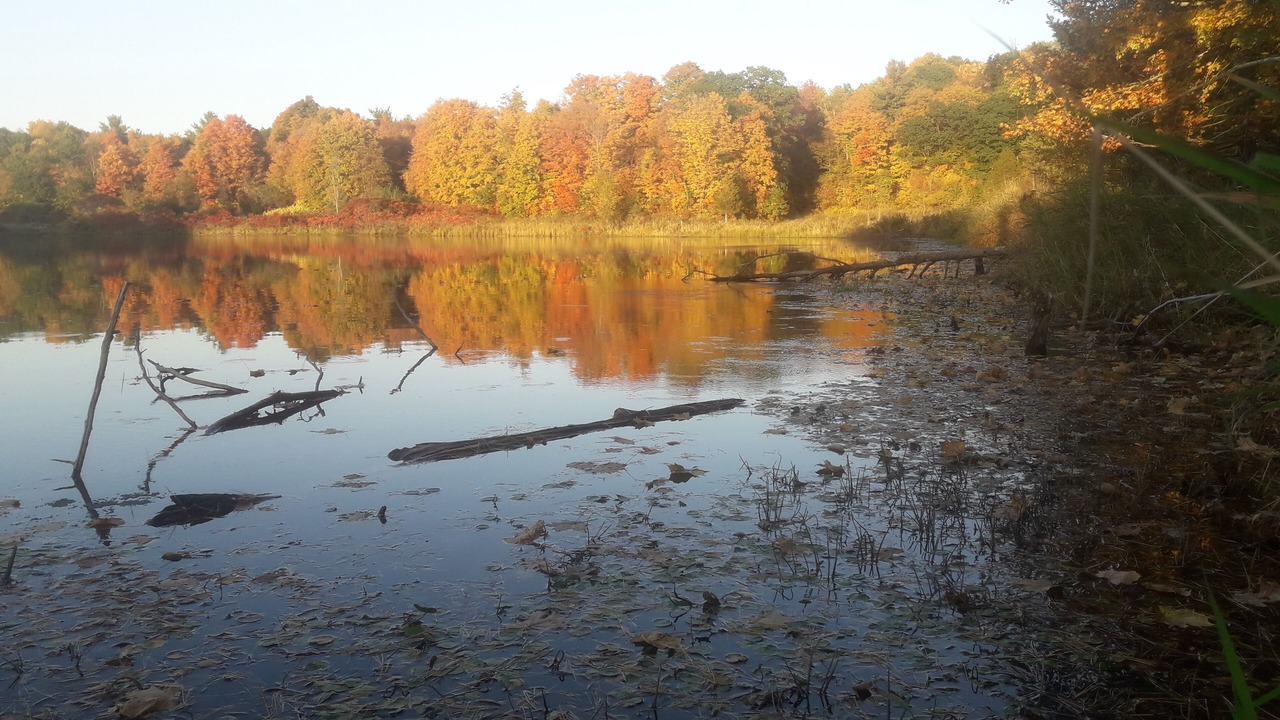 Photo of Others in Leeds and the Thousand Islands