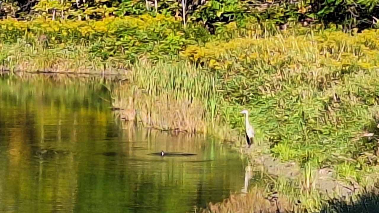 Photo of Others in Leeds and the Thousand Islands