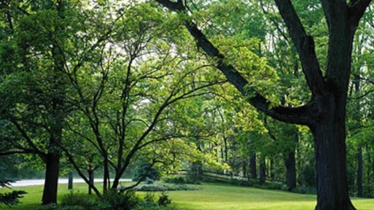 Photo of Others in Thorold