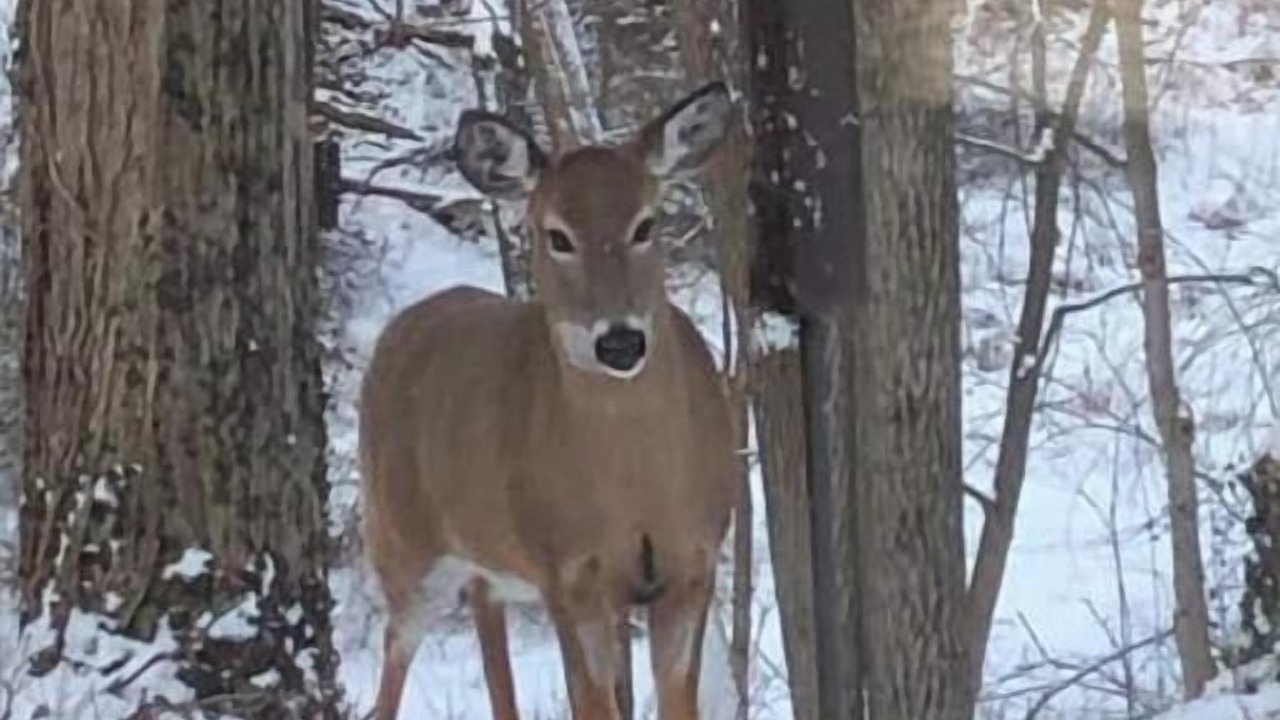 Photo of Others in Thorold