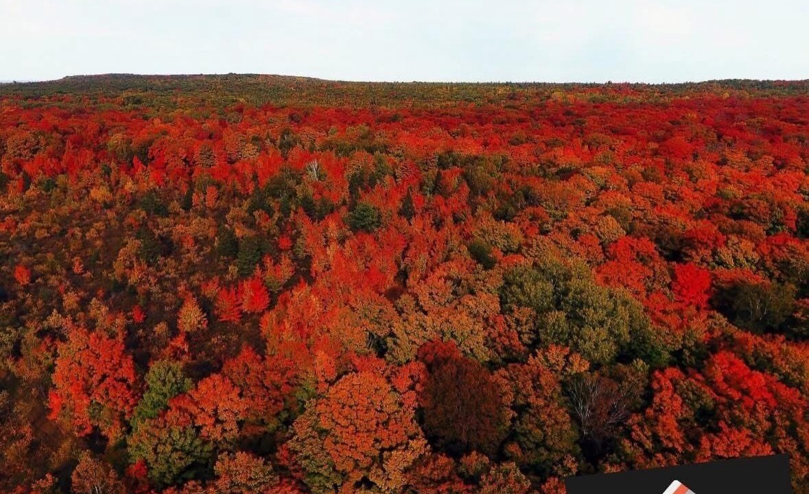 Photo of Others in Manitoulin District